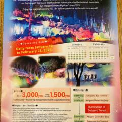 秋神温泉「氷点下の森」ライトアップ