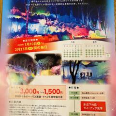 秋神温泉「氷点下の森」ライトアップ